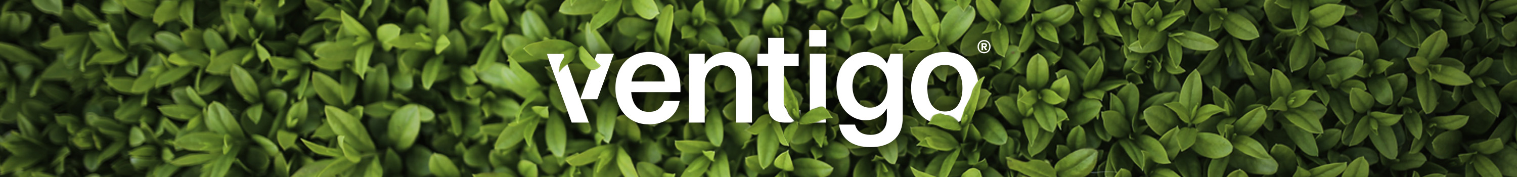 Nachhaltigkeit und CO2-Banner