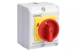 Wartungsschalter 32A 4-polig 230-440V, IP65 + 2 x Kabelverschraubung